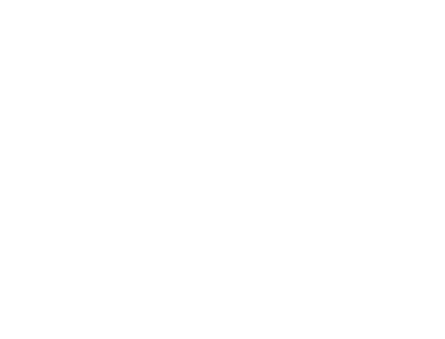 Made in USA Icon - White