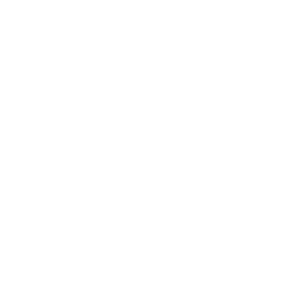 Schwank Grills Logo