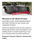 Cozze Gas Pizza Oven - with Rotating Pizza Stone